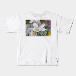 Crocus biflorus subsp. weldenii  'Fairy' Kids T-Shirt